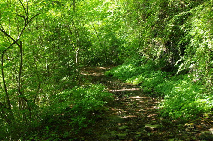 d0341514_20460932.jpg