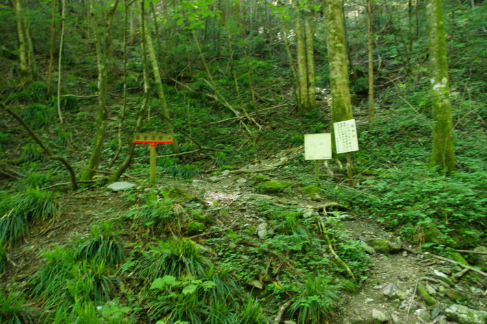 d0341514_20500052.jpg