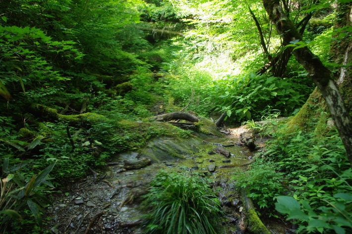 d0341514_20514038.jpg