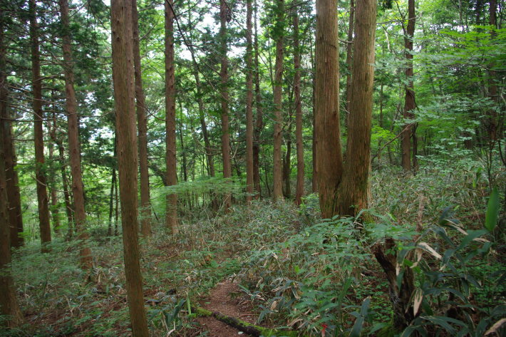d0341514_20584677.jpg