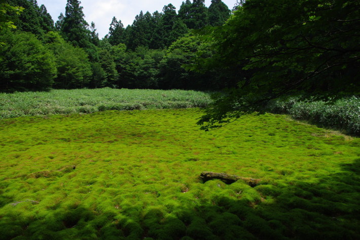 d0341514_21034518.jpg