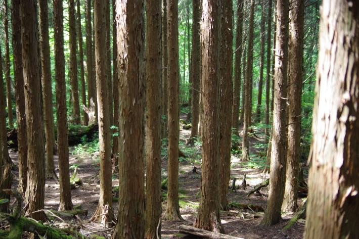 d0341514_21144757.jpg