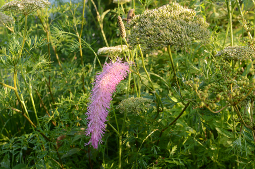 c0107129_2034585.jpg