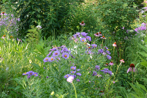 c0107129_20413341.jpg