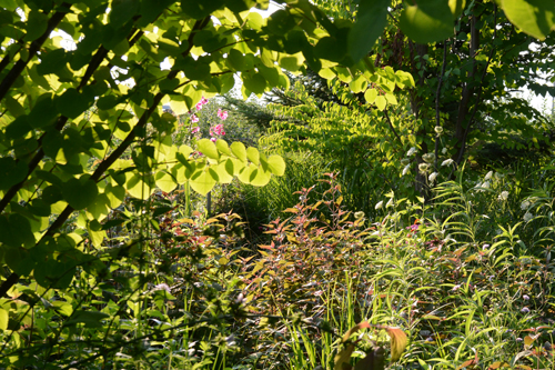 c0107129_20453279.jpg