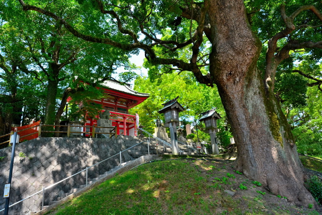 緑陰を求めて北岡神社へ_e0056537_17122719.jpg