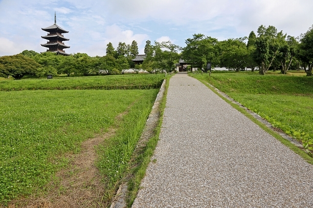a0242438_20021096.jpg