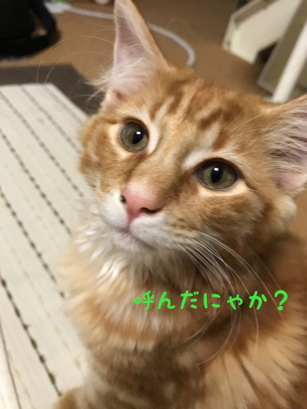 c0181639_01531389.jpg