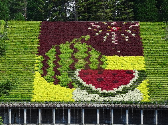 宇治植物園の花 彩の気まぐれ写真