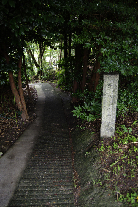 恋の水神社_c0238352_21543706.jpg