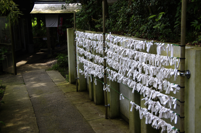 恋の水神社_c0238352_21560210.jpg