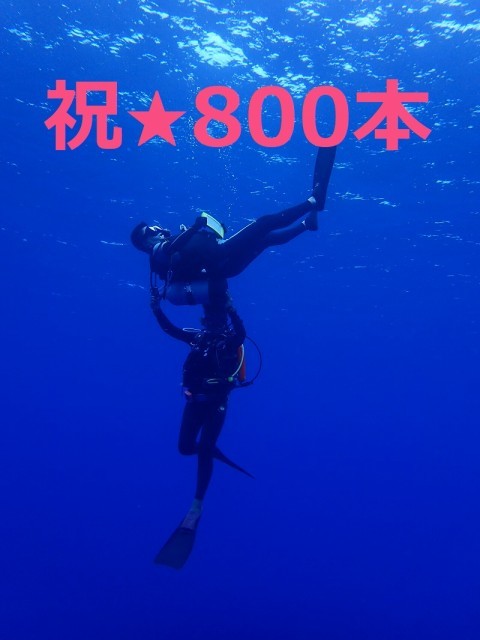 7月17日 ハンマーいました‼︎_d0113459_18120652.jpg