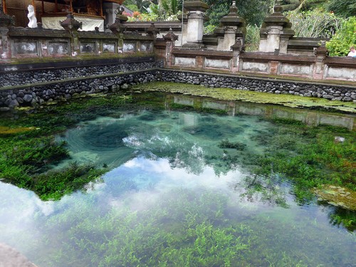 バリ島へ行く⑬　～世界遺産の聖なる泉へ～_f0232060_0203524.jpg
