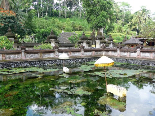 バリ島へ行く⑬　～世界遺産の聖なる泉へ～_f0232060_0205080.jpg