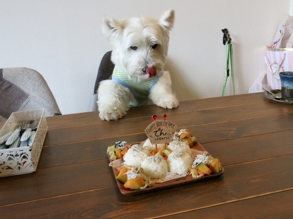 お誕生祝いの白犬会_f0363961_16205034.jpeg