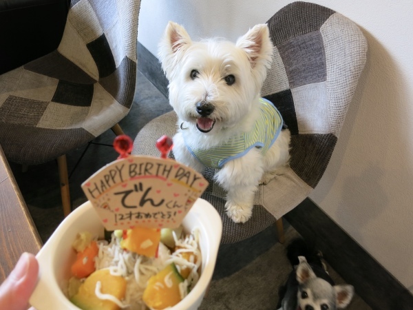 お誕生祝いの白犬会_f0363961_16212596.jpeg