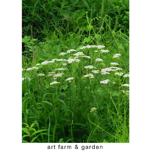 深い静寂ときれいな空気/art farm & gardenの庭_b0290469_12392609.jpg