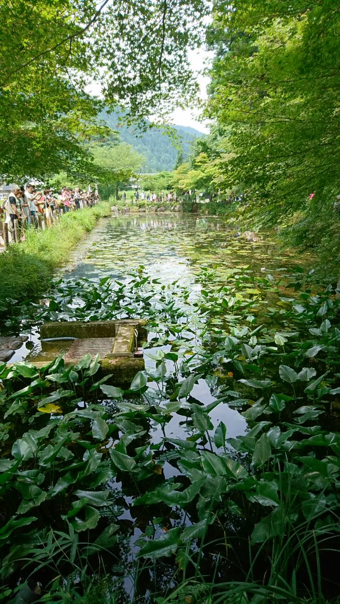 岐阜妙景　モネの池、ツインアーチ138、養老天命反転地_c0002171_8411630.jpg