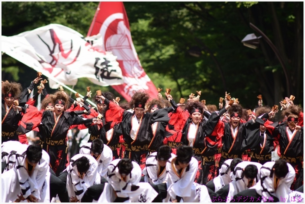 光が丘よさこい　2017　(1)　夏舞徒_b0104774_12353912.jpg