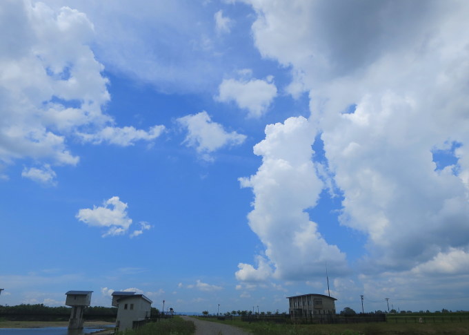 雲・蛙・星空の一日～中途半端に思い出る（－＞－）?_a0214206_22490889.jpg