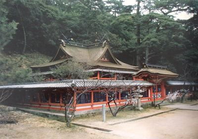 c0367107_19402699.png