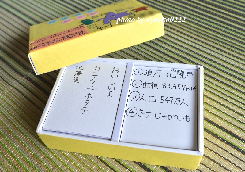 夏休みの自由研究 ちぇき編 Nyaokoさんちの家族時間 夏休みの自由研究 ちぇき編 Nyaokoさんちの家族時間