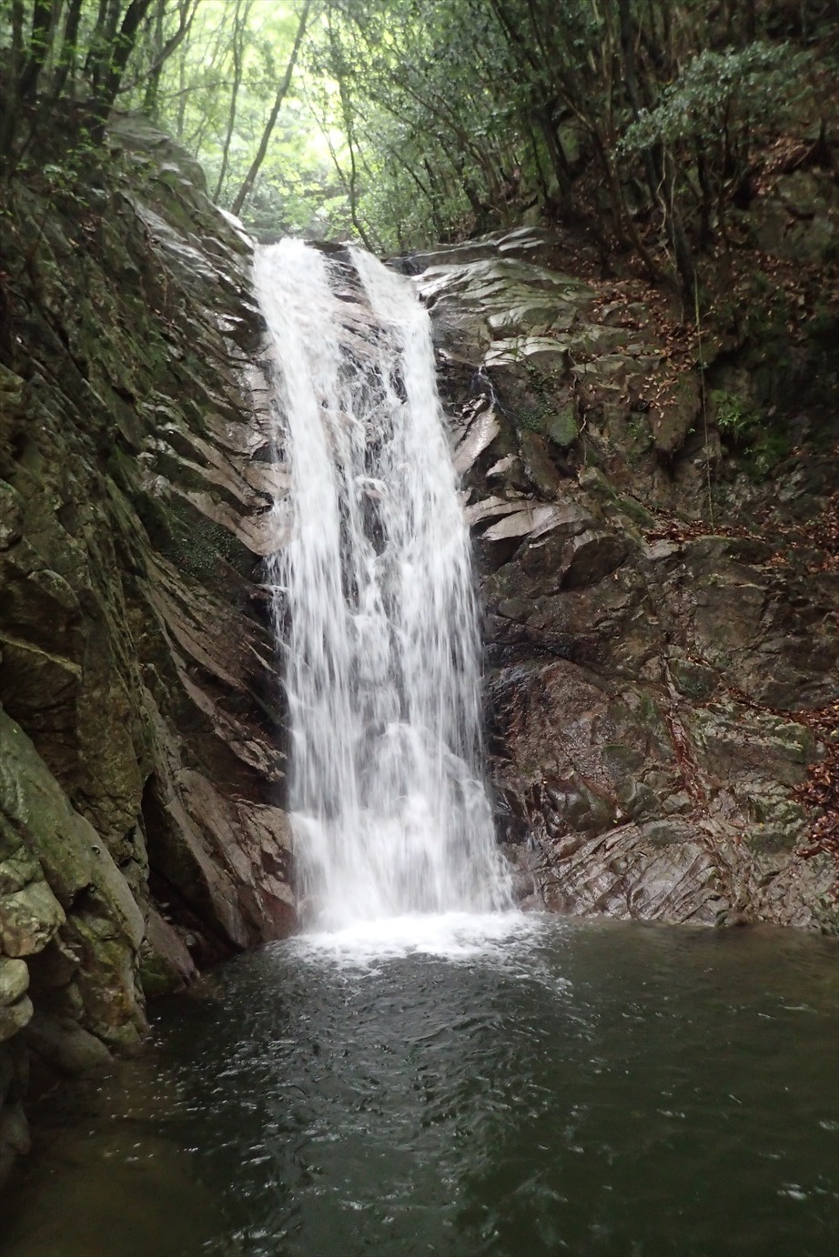 f0348933_20411709.jpg