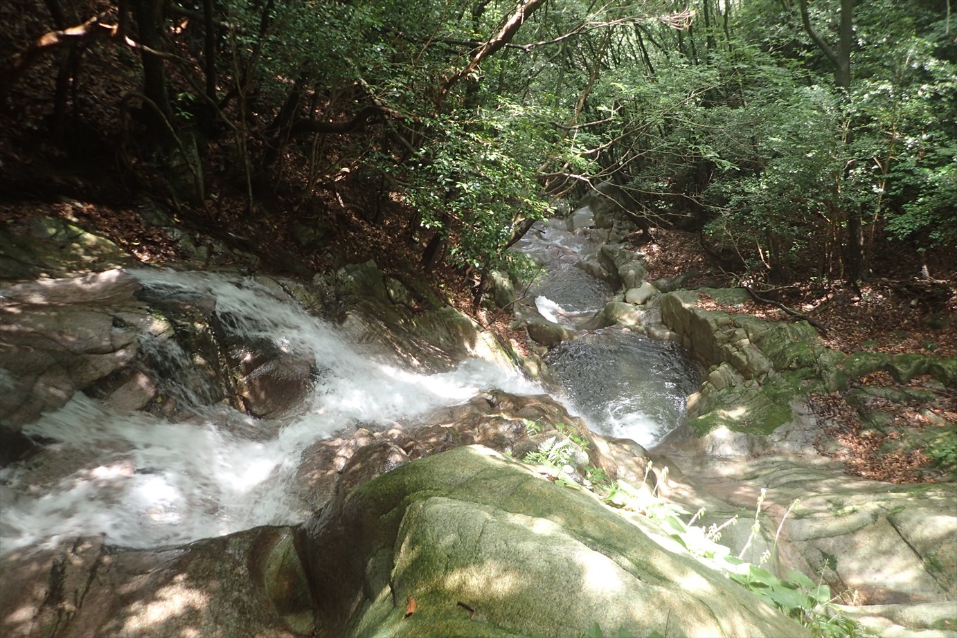 f0348933_20481930.jpg