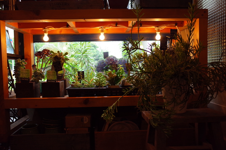 flower shop + cafe NECO QAVREENO（ネコカヴリーノ）　中野区江原町/カフェ 花屋～中野区をぶらぶら その2_a0287336_15515152.jpg