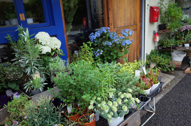 flower shop + cafe NECO QAVREENO（ネコカヴリーノ）　中野区江原町/カフェ 花屋～中野区をぶらぶら その2_a0287336_174124.jpg