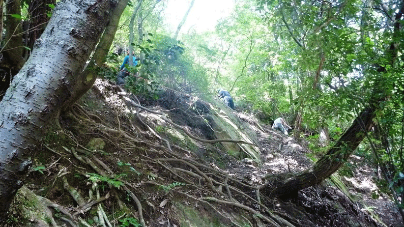 e0371039_19461637.gif