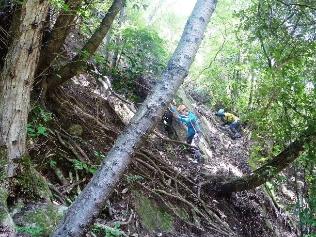 e0371039_19462523.gif