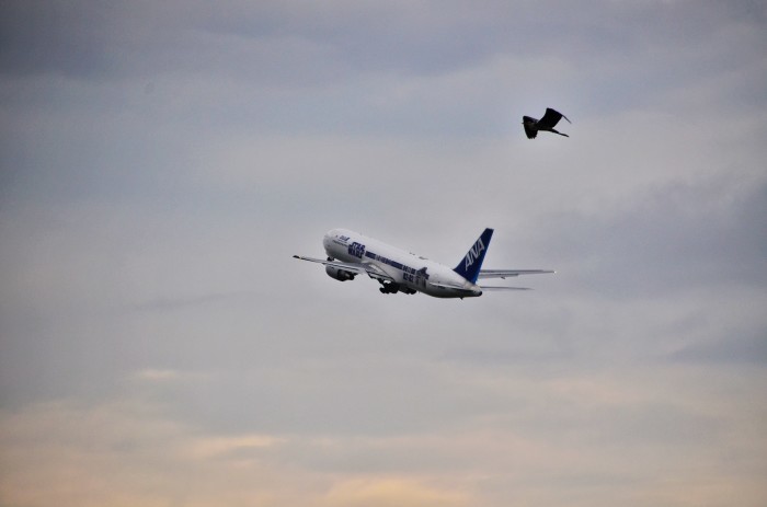 ”STAR WARS Jet at Yamaguchi-UBE Airport...7/18tue\"_d0153941_21290208.jpg