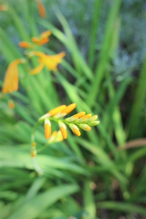 e0300042_00500247.jpg