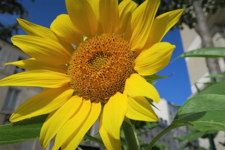 e0300042_00554182.jpg