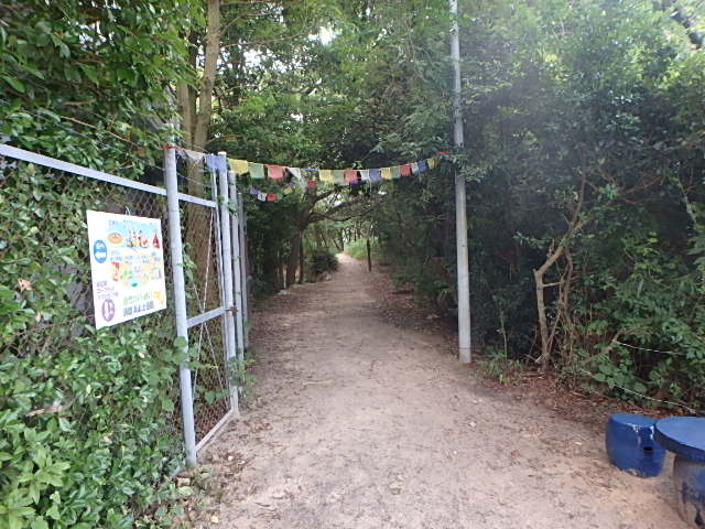 f0334143_2033246.jpg