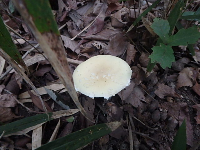 f0334143_2034289.jpg