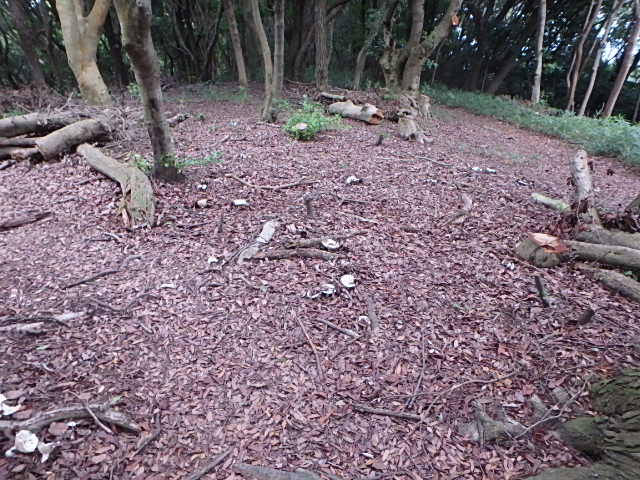 f0334143_20345343.jpg