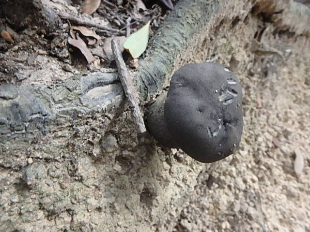 f0334143_20352914.jpg