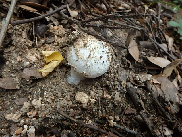f0334143_20362550.jpg
