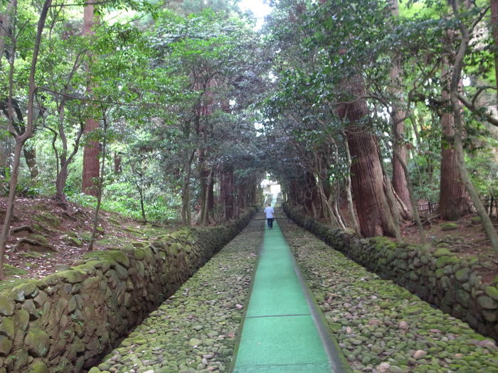 瀧谷寺　訪問_a0198857_20315977.jpg