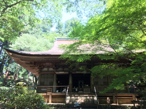 奈良 室生寺編_e0136066_22093194.jpg