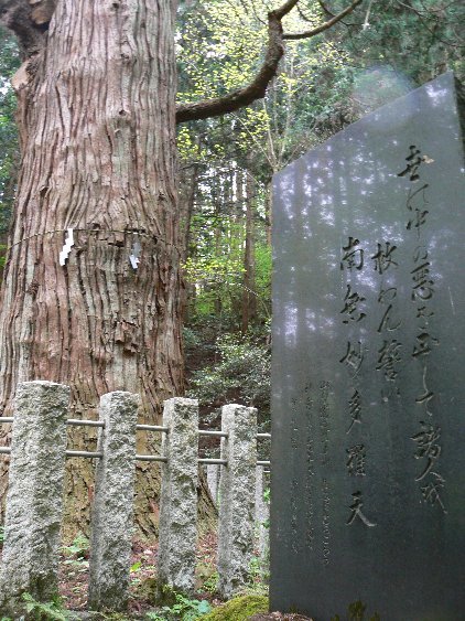江戸怪談 猫多羅天女のはなし_b0116271_23404376.jpg