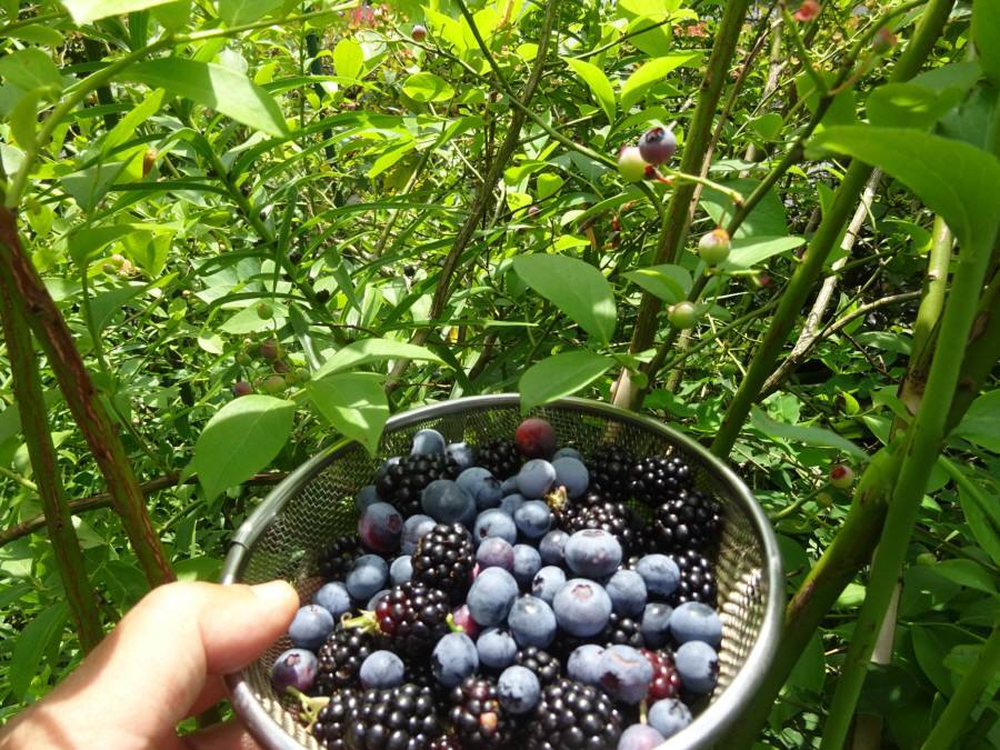 f0059673_18082761.jpg