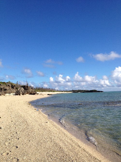 行き当たりばったり、それが心のアルバムに。それもまた与論島の旅の楽しみ方_e0032991_2031047.jpg