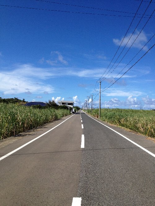 行き当たりばったり、それが心のアルバムに。それもまた与論島の旅の楽しみ方_e0032991_2037537.jpg