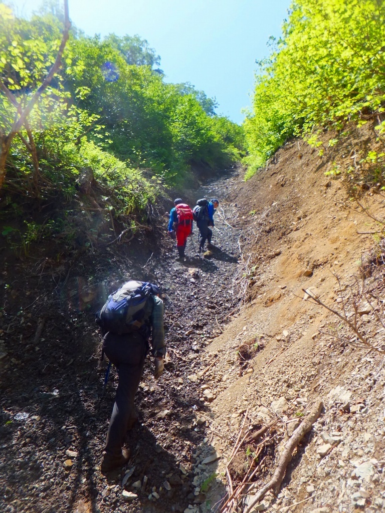  中天狗岳、2017.7.15－同行者からの写真－_f0138096_21570008.jpg