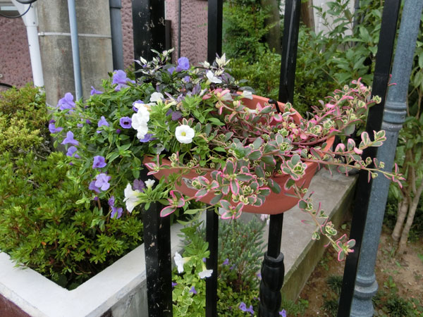 e0131399_23214053.jpg