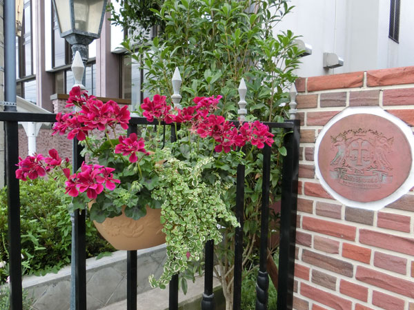 e0131399_23215381.jpg