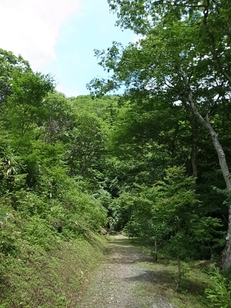 f0197703_19330230.jpg